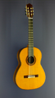 Classical Guitar, cedar, rosewood, Mensur 65 cm, year 2007