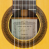 Rosette and label of Antonio Marin Montero luthier guitar spruce, rosewood, scale 65 cm, year 1986