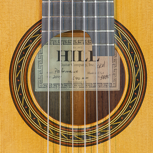 kenny hill guitars for sale