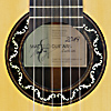 Rosette und Schild von Konzertgitarre gebaut von Matthias Hartig - Matteo Guitars