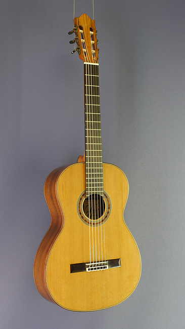 Thomas Friedrich Luthier guitar cedar, rosewood, year 2016