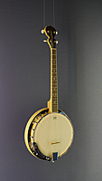 Tanglewood 4-string-Banjo