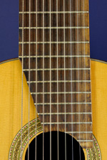 10-string guitar fretboard