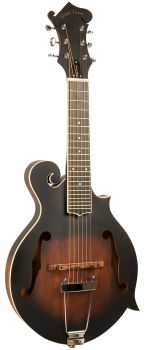 Gold Tone F6, Mando Guitar, Mandolinen Gitarre 6-saitige Gitarren-Mandoline mit F-Stil Korpus, Tonabnehmer und Koffer