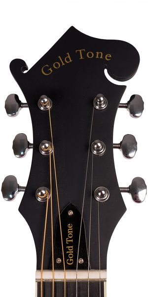 Gold Tone F6, Mando Guitar, Mandolin Guitar 6-string guitar mandolin with F-style body, pickup and case