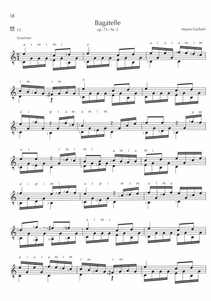 Neges, Ferdinand: Play Guitar in Concert - Welcome to Vienna, Guitar solo sheet music  (+ online audio) sample