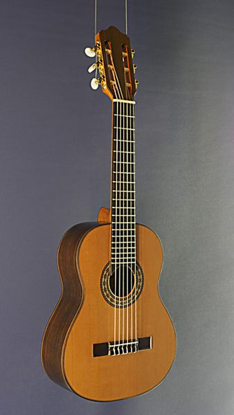 Octave guitar Ricardo Moreno Octava A cedar, all-solid octave guitar made of cedar and rosewood