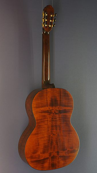 Double bass guitar Wolfgang Teller, solid spruce maple, tuning: 1 octave lower, back view